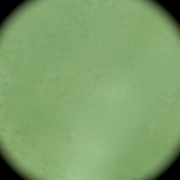 55440 Vert clair métallique sans plomb Héraeus 10 grammes