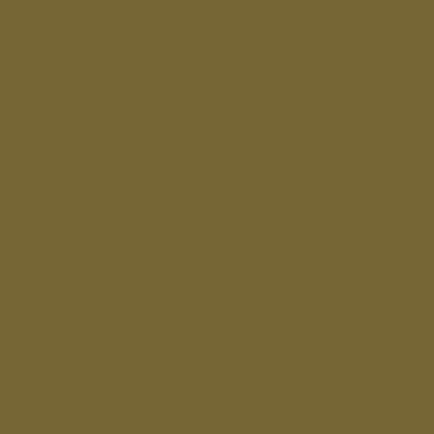 APW805 Terra Ombra en 5 grammes