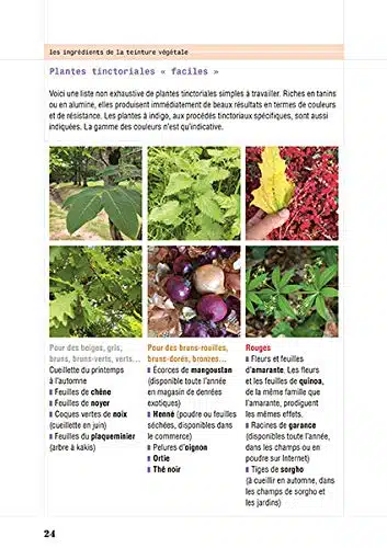 Teindre au naturel : La teinture végétale : techniques et modèles à faire soi-même – Livre – Image 8