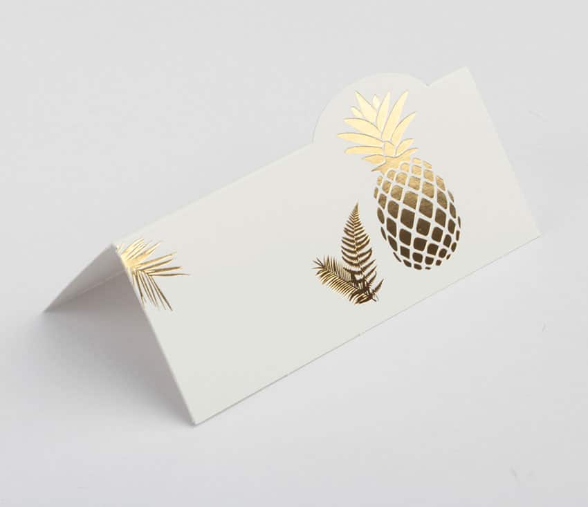 Marque place Ananas – Lot de 10