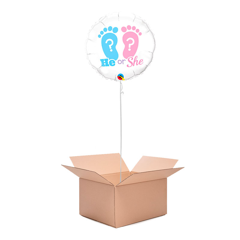 Ballon Naissance He or She